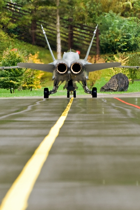87_Meiringen_FA-18C Hornet.jpg